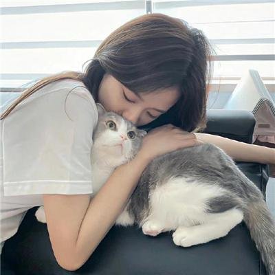 倒霉熊之茶杯旅行记